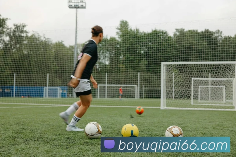 多媒体互动体验